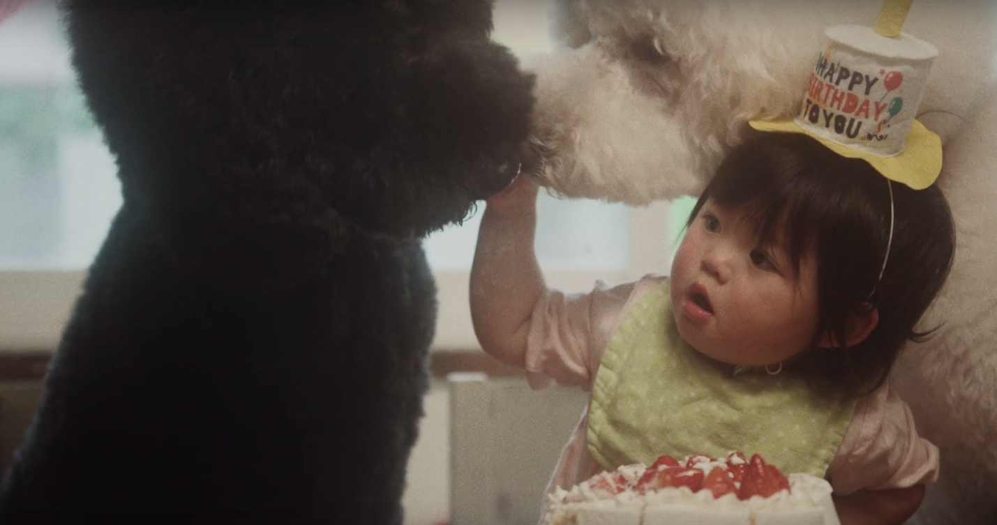Guarda Fix Me, il nuovo video di Beck | Collater.al 6