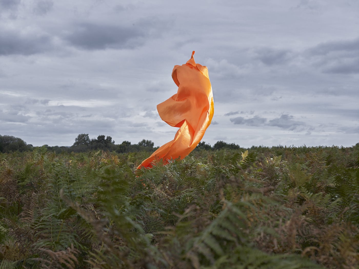 Transient Sculptures, le sculture transitorie di Neal Grundy | Collater.al 4