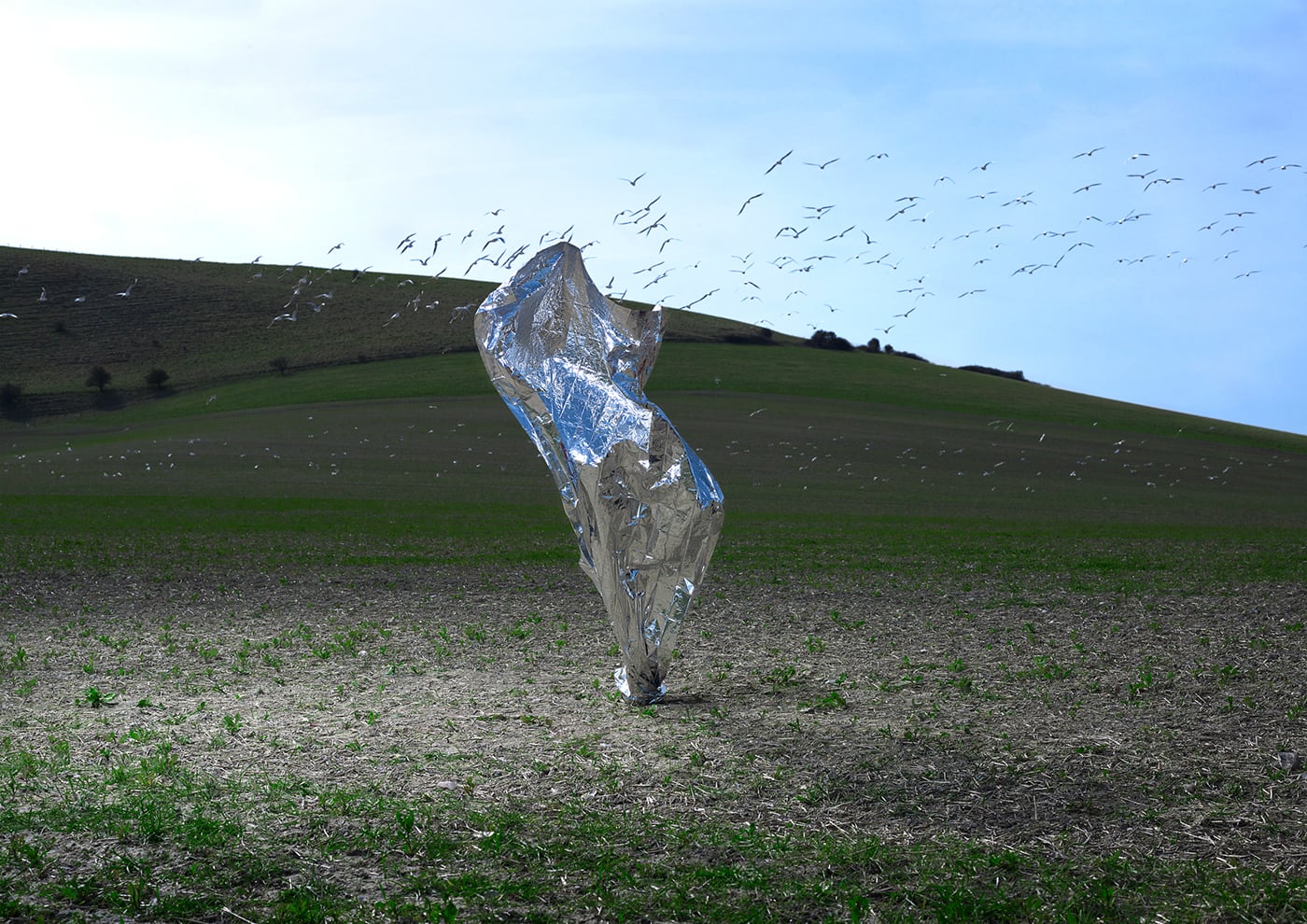 Transient Sculptures, le sculture transitorie di Neal Grundy | Collater.al 7