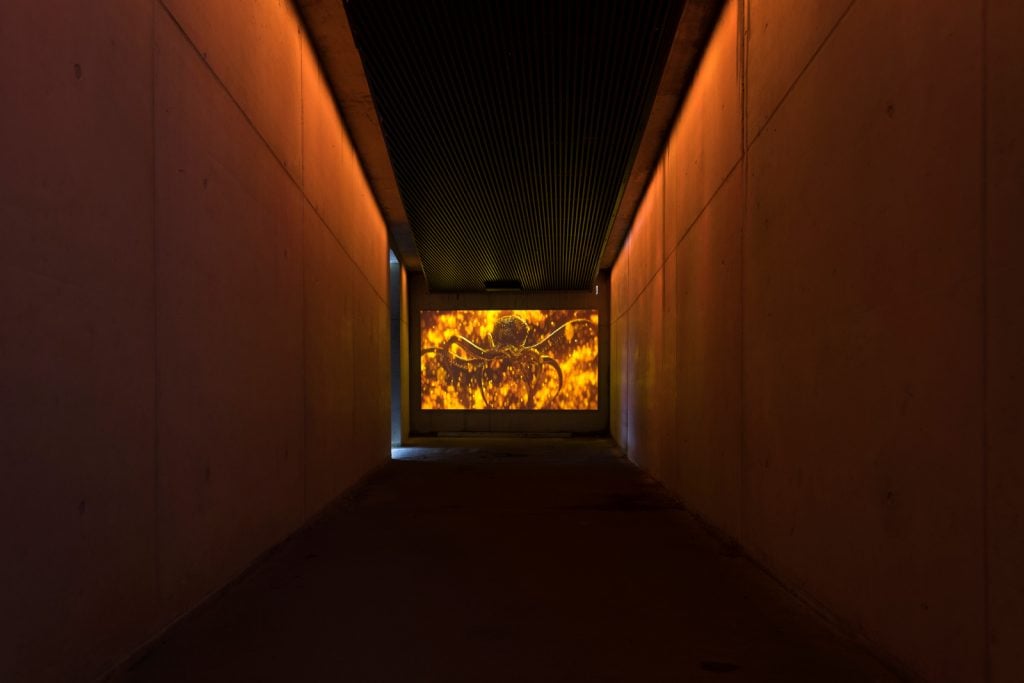 007 Elements un installazione dedicata a James Bond | Collater.al