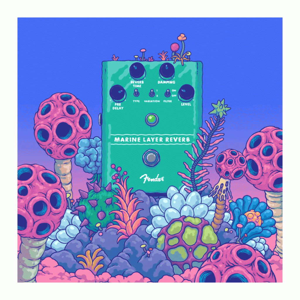 Fender Marine Layer Reverb by Sangho Bang1 | Collater.a