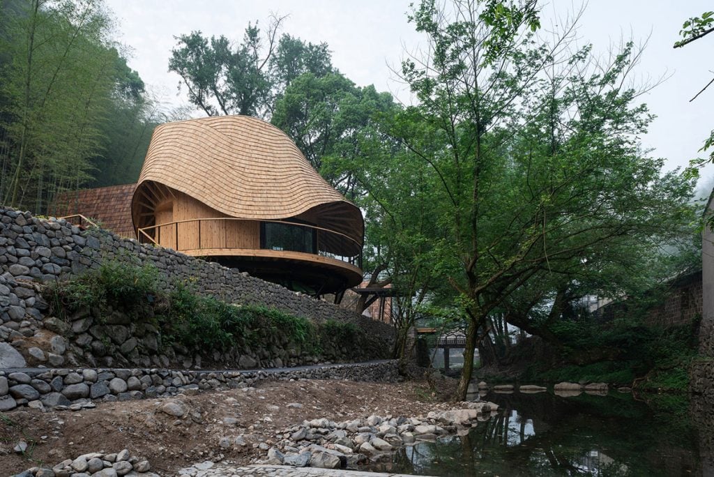Bamboo treehaouse | Collater.al 9c