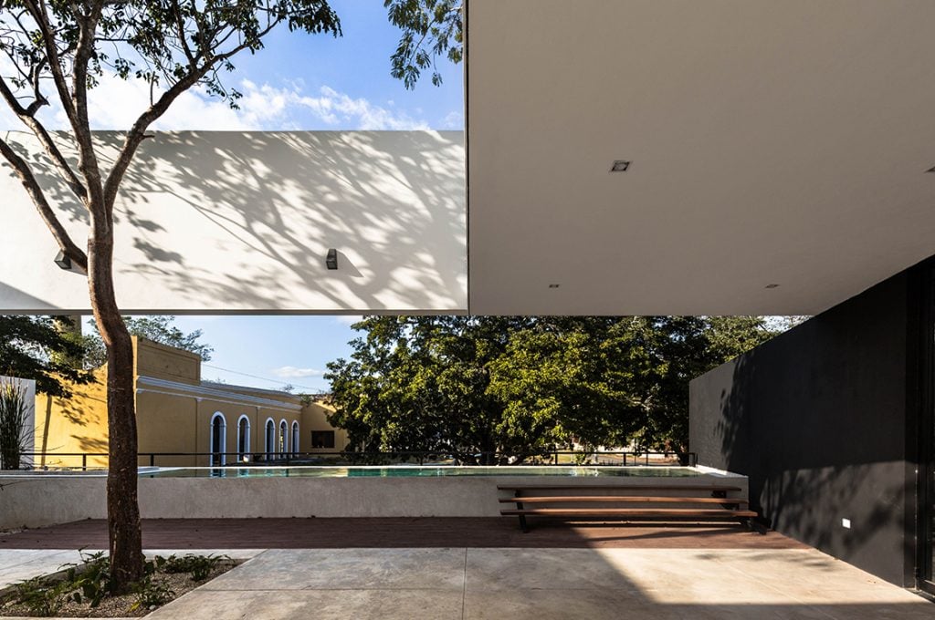 Casa Del Arbol | Collater.al