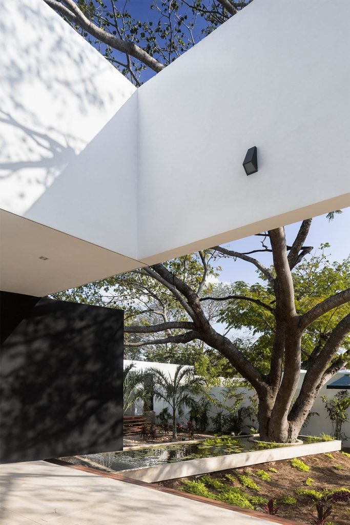 Casa Del Arbol | Collater.al