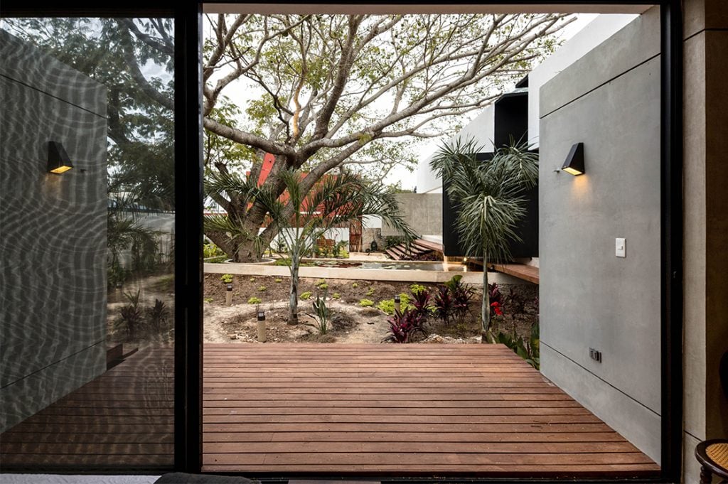 Casa Del Arbol | Collater.al