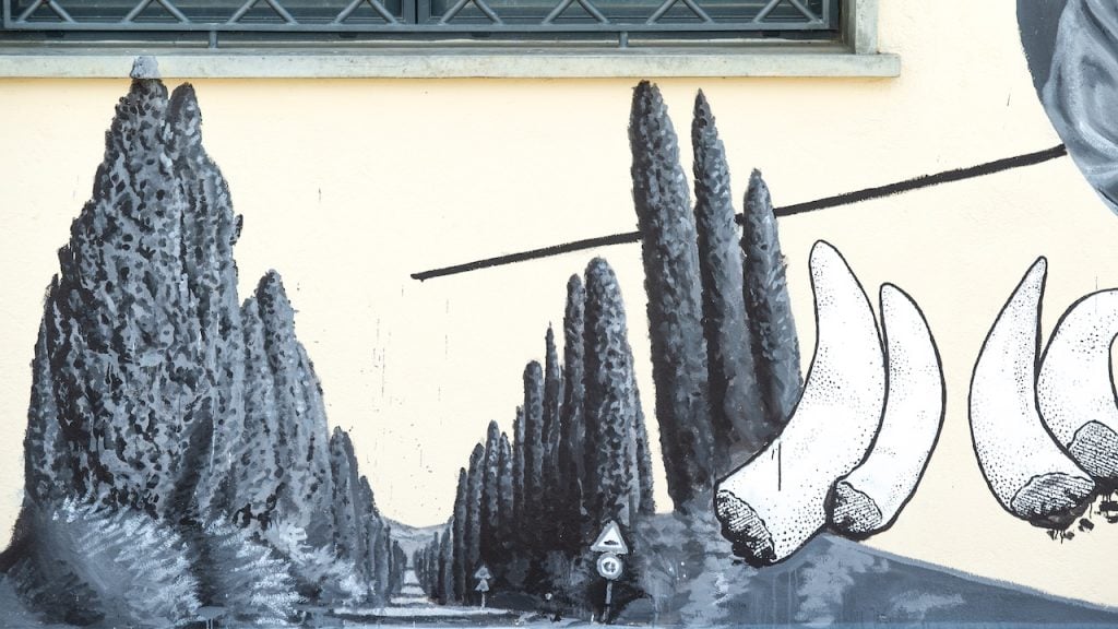 Le Macchiole | Collater.al