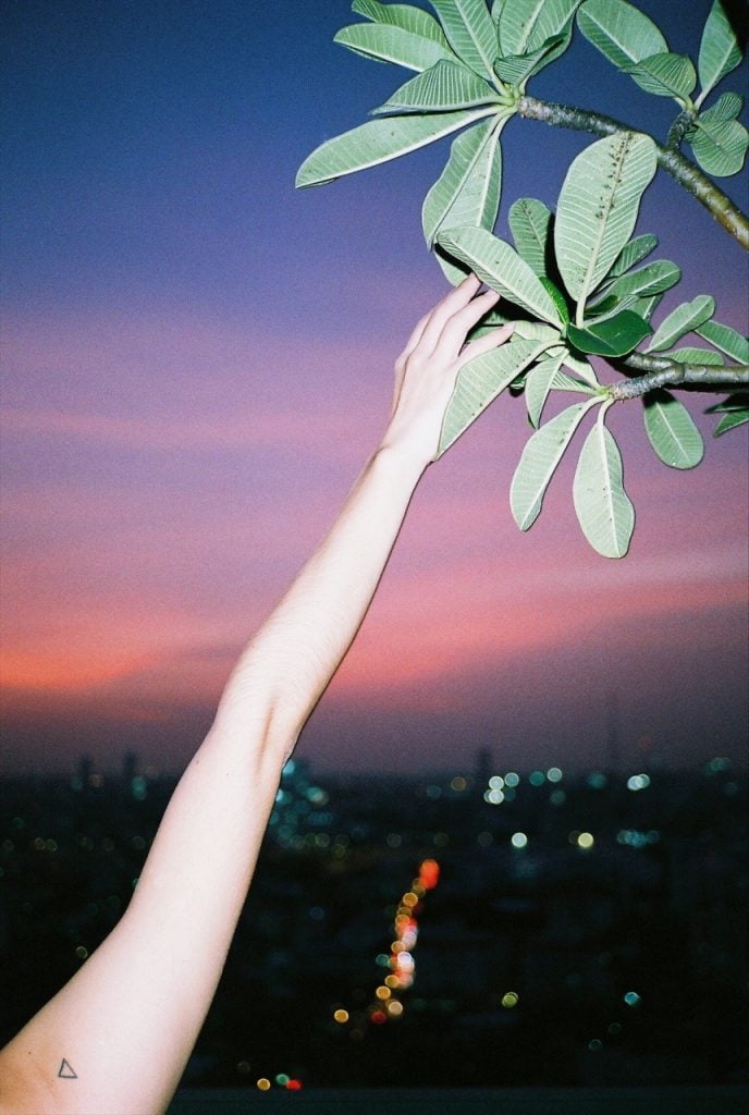 Nick Prideaux cattura la bellezza delle piccole cose | Collater.al 17