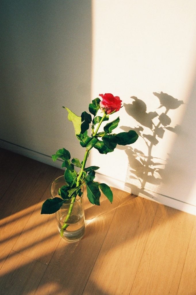 Nick Prideaux cattura la bellezza delle piccole cose | Collater.al 4