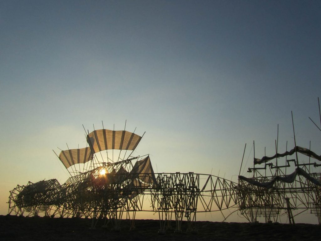Strandbeests | Collater.al