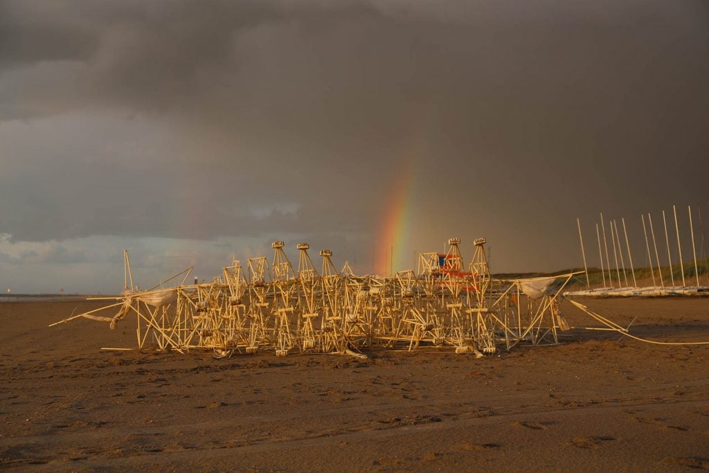 Strandbeests | Collater.al