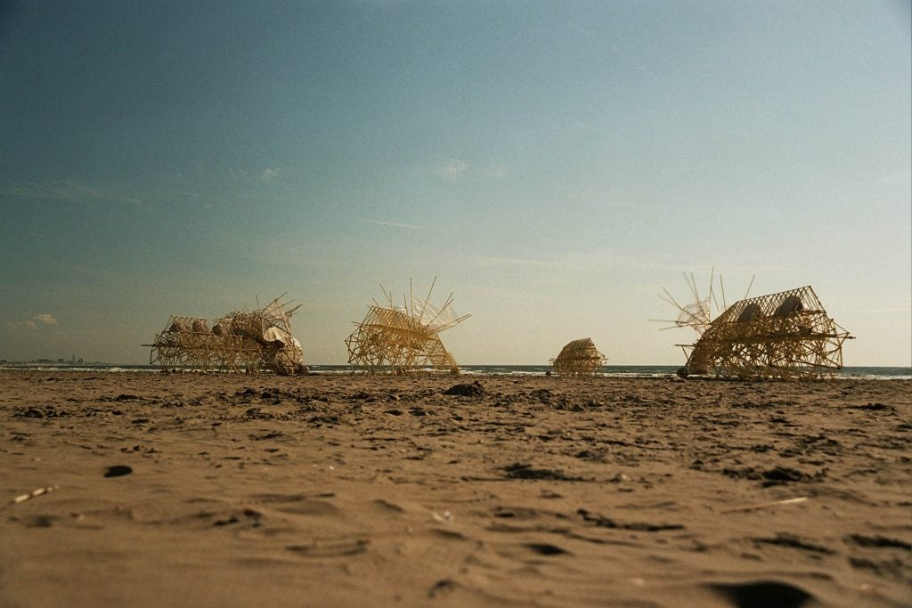 Strandbeests | Collater.al