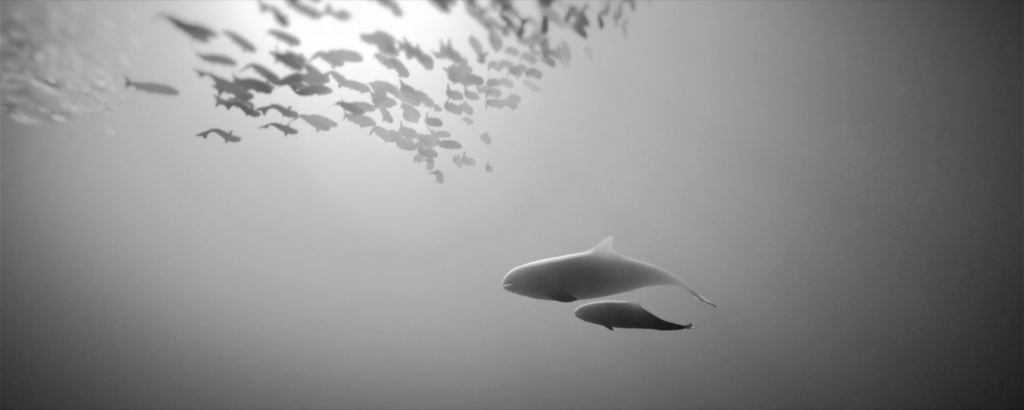 The Last Memory | Collater.al