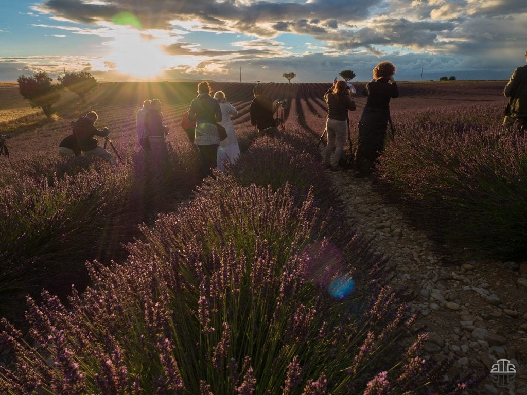 Valensole timelapse | Collater.al