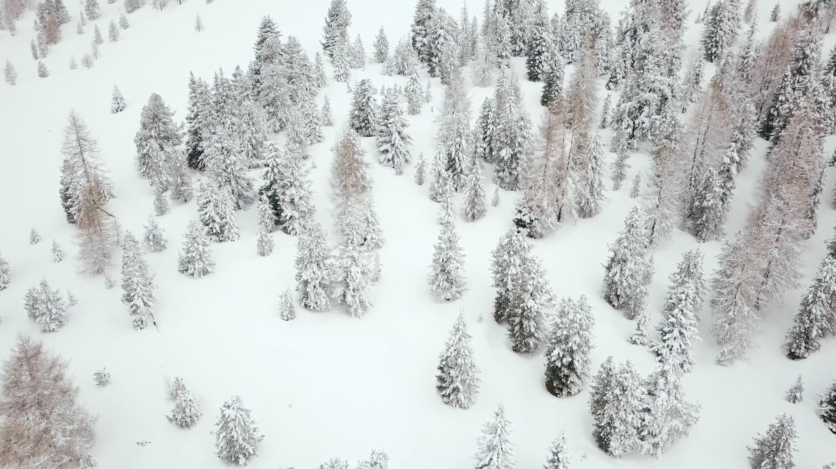 Dolomites | Collater.al