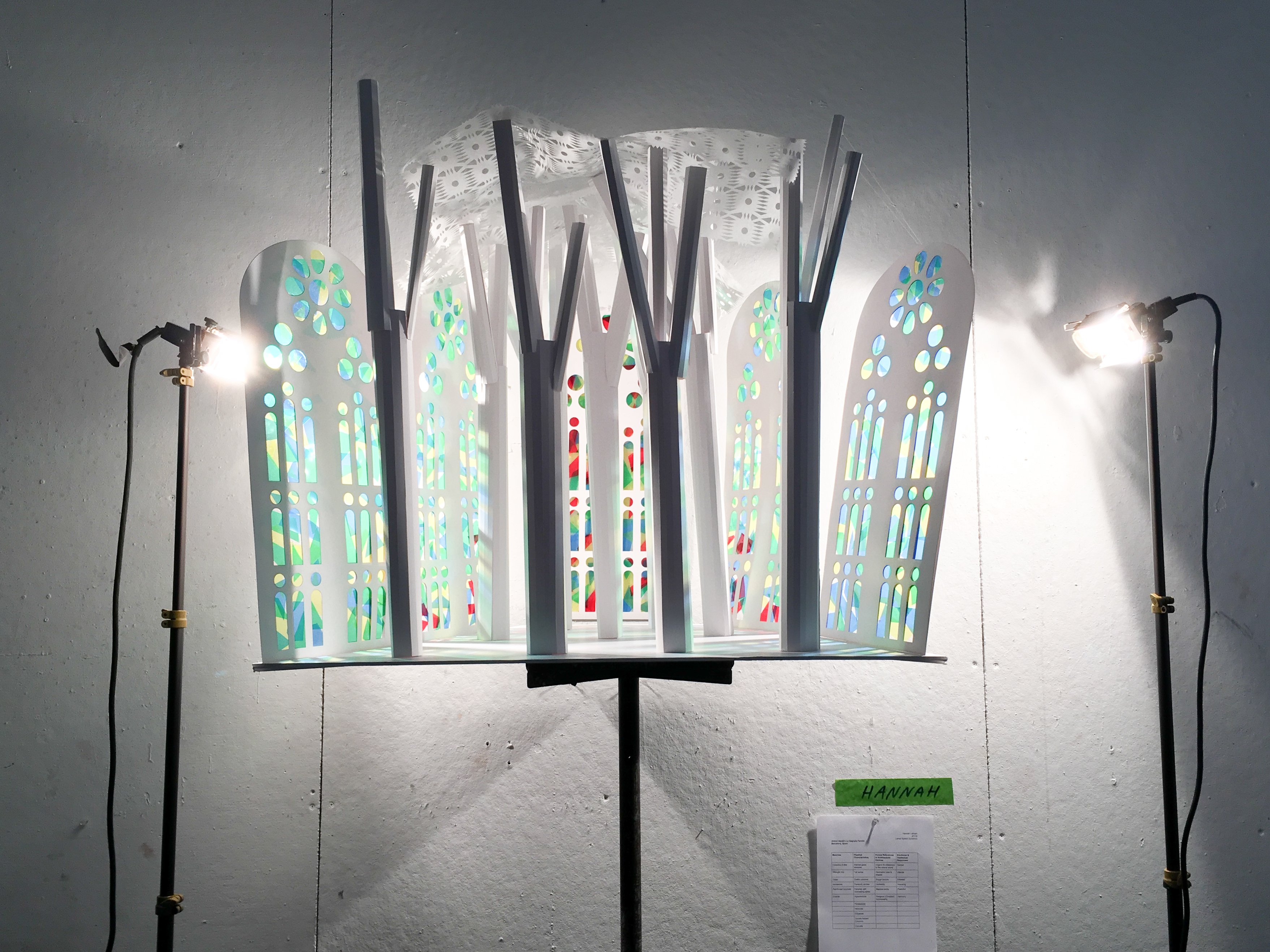 Lamar Spring Spatial Dynamics | Collater.al