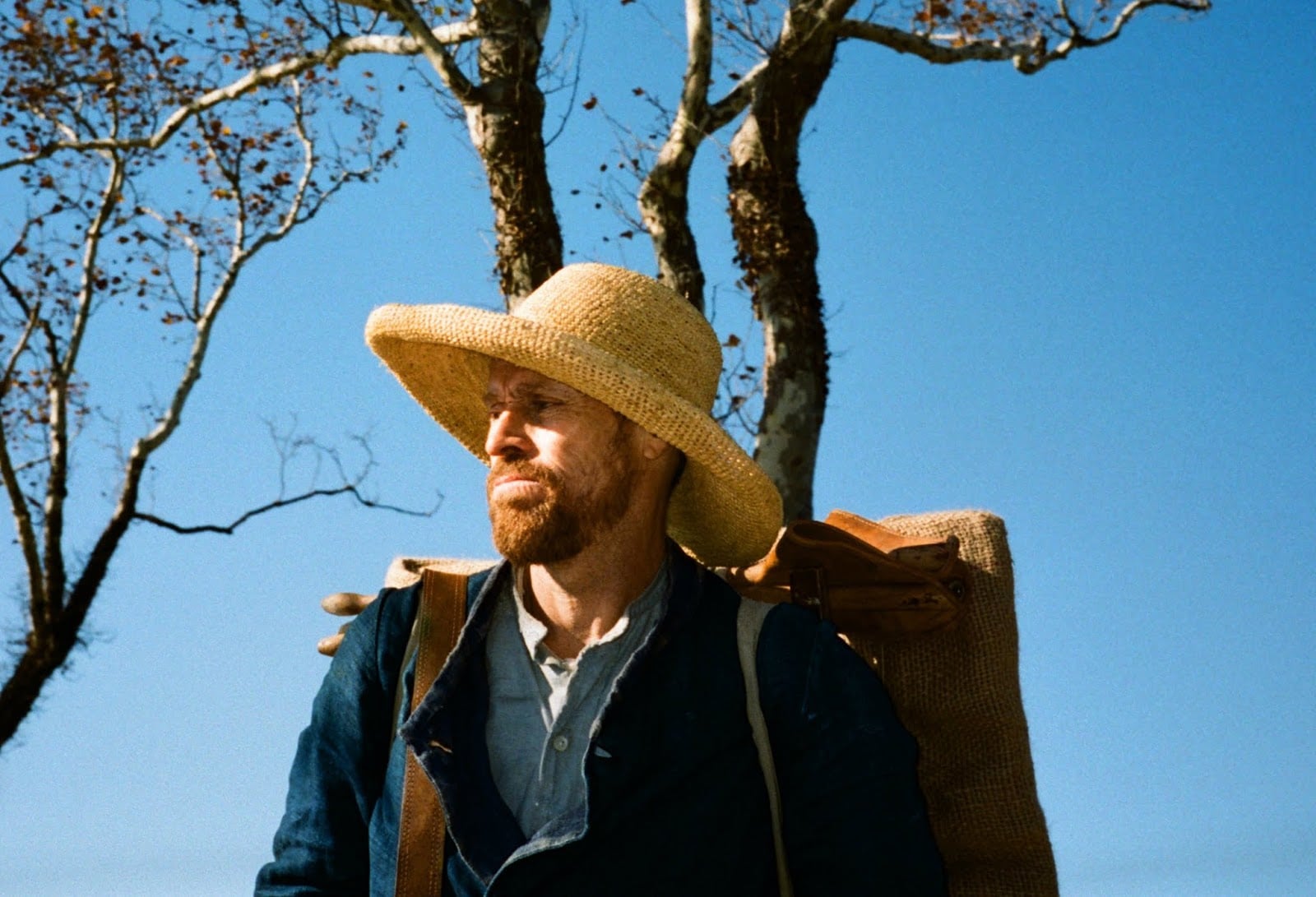 I 3 film rivelazione del Festival del cinema di Venezia | Collater.al 5
