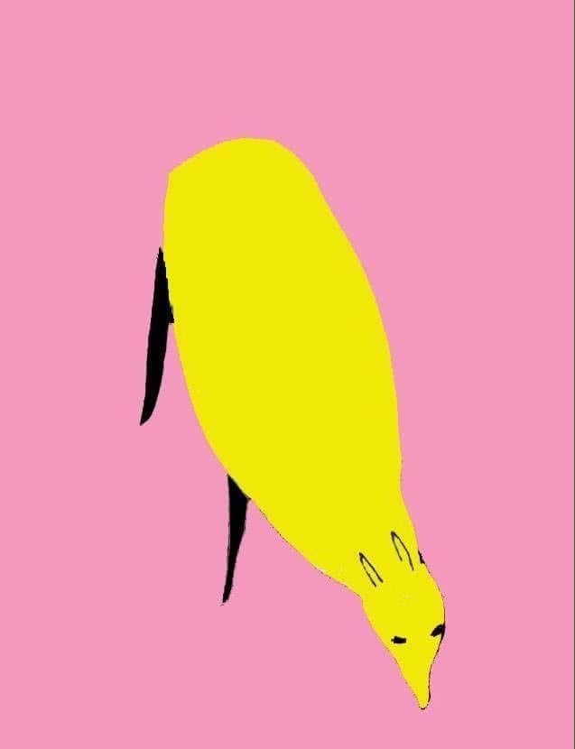 Maria Paton | Collater.al