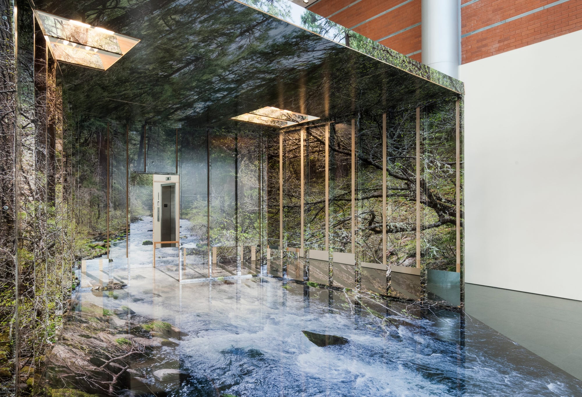 L'installazione tridimensionale di Chris Engman ci porta nel bosco | Collater.al