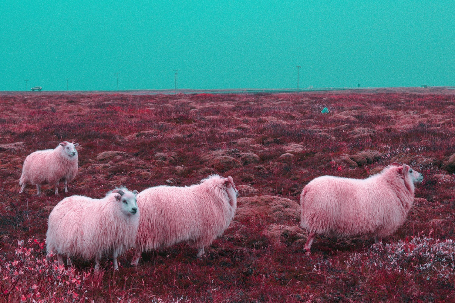 Il Dreamscapes of Iceland del fotografo Al Mefer | Collater.al