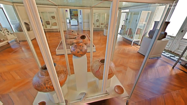 Insdie Brazils Museu Nacional Google Museum View | Collater.al
