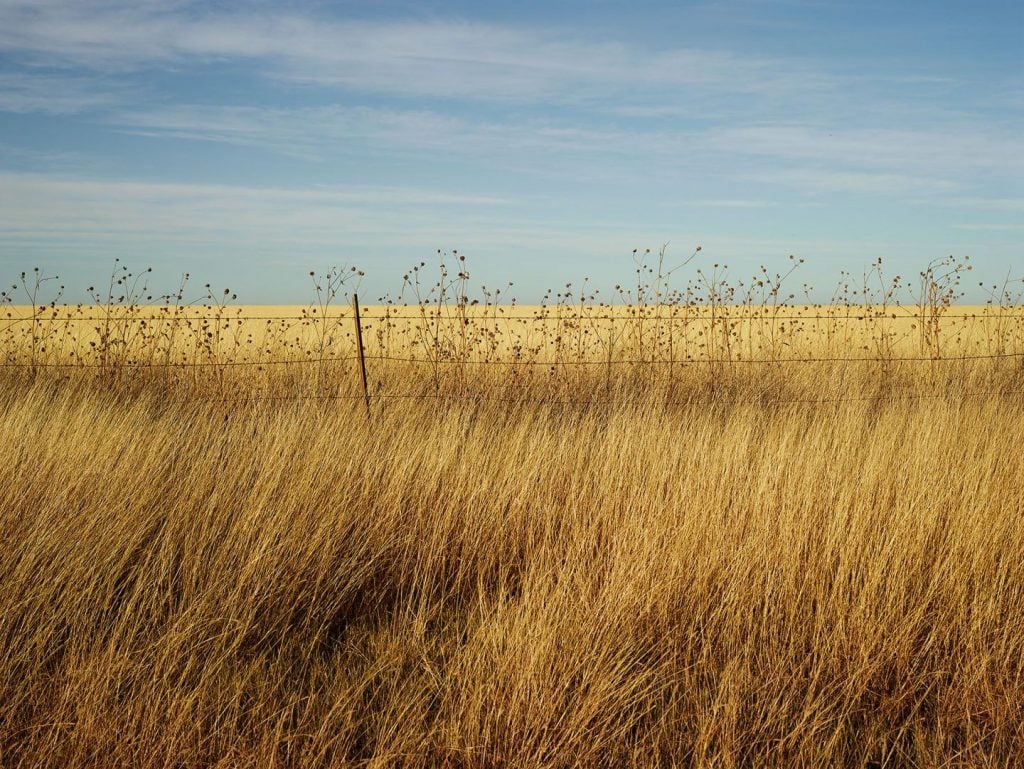 Roadside America Josef Hoflehner | Collater.al