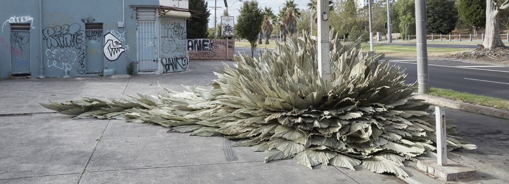 Loose Leaf Studio l’installazione botanica in un ex stazione di servizio | Collater.al