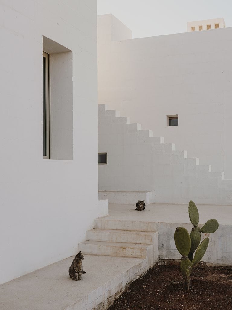 Villa Cardo è la casa vacanze pugliese da sogno | Collater.al