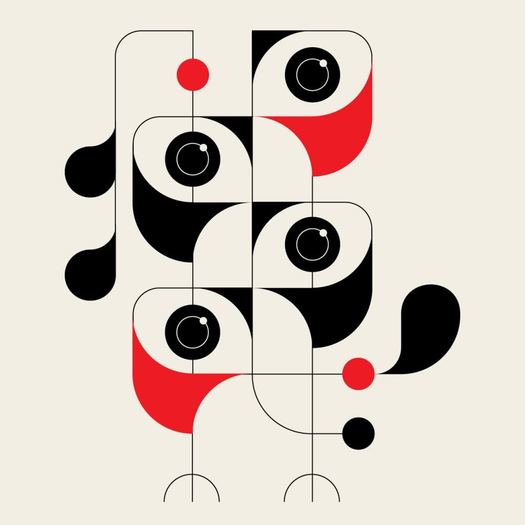 Animals Strike Curious Poses | Collater.al