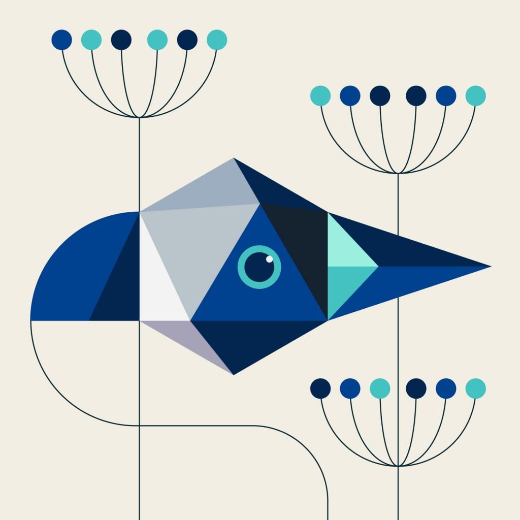 Animals Strike Curious Poses | Collater.al
