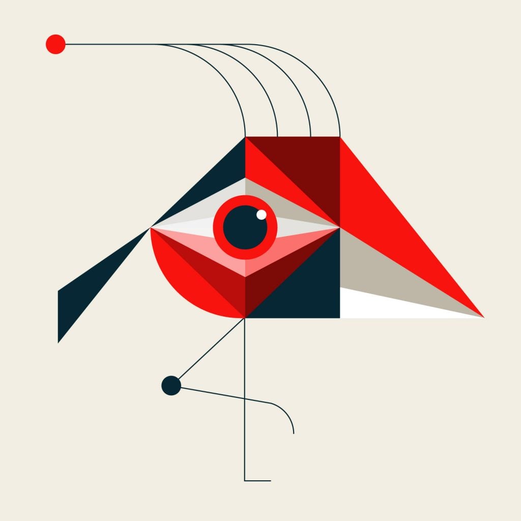 Animals Strike Curious Poses | Collater.al