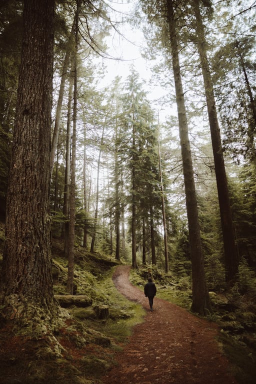 Woolrich | Collater.al