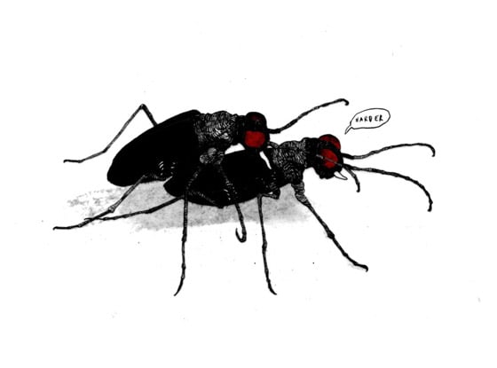 bugfuck