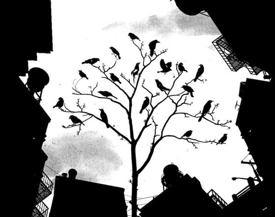 David Földvári - Illustratore ungherese David Földvári - Illustratore ungherese