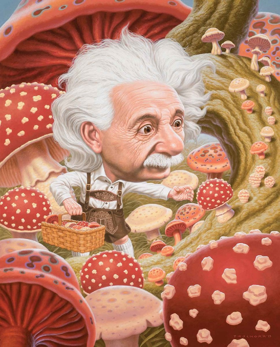 Il pop surrealismo del pittore Todd Schorr | Collater.al