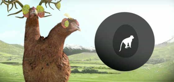 The Holy Chicken of Life & Music | Collater.al