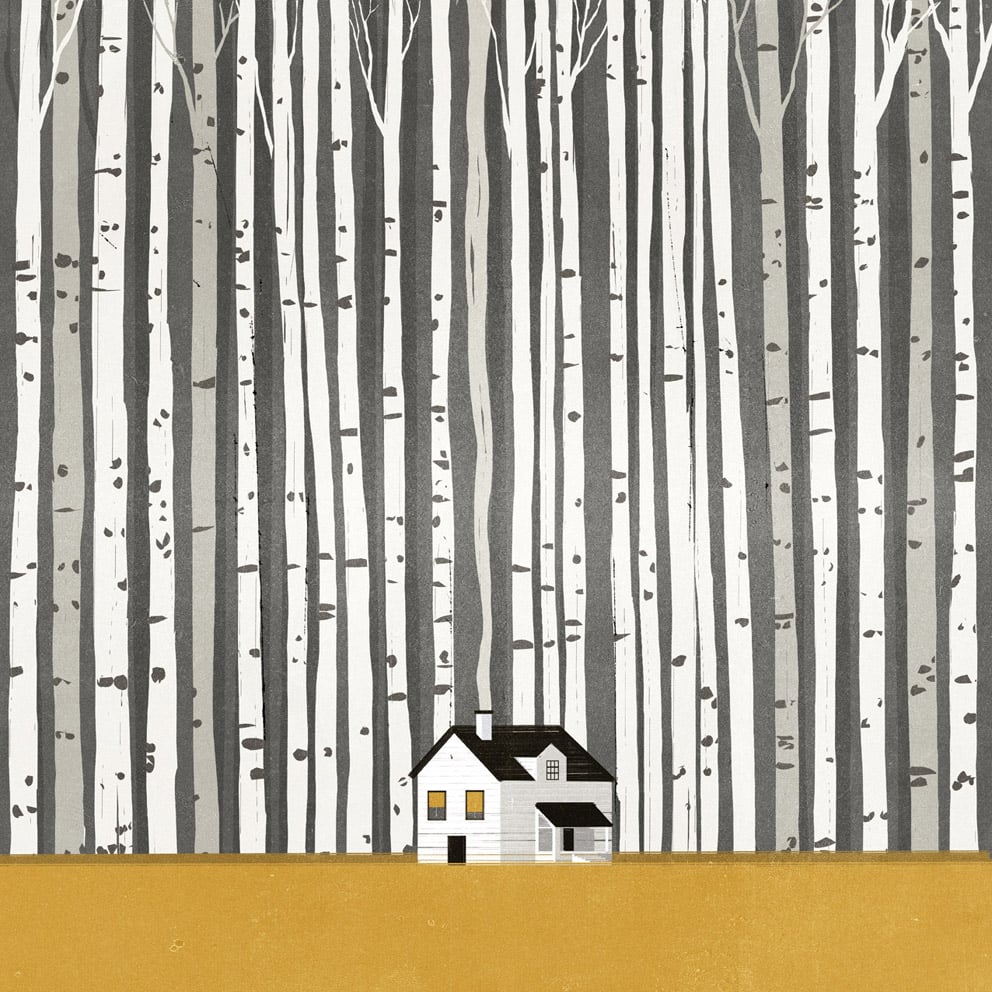 Le illustrazioni di Alessandro Gottardo aka SHOUT