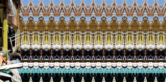 Mark Khaisman - Serie Pattern
