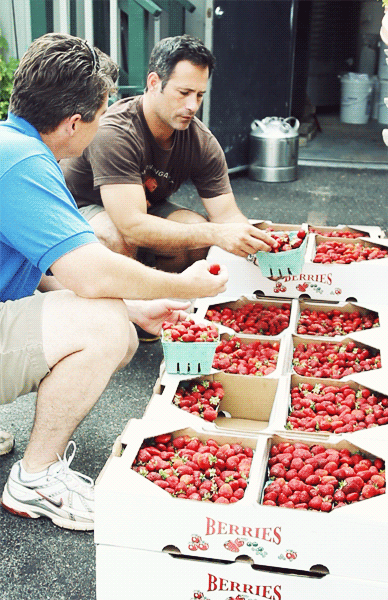 Jamie Beck e Kevin Burg - Strawberry Beer - fotografie in movimento Jamie Beck e Kevin Burg - Strawberry Beer - fotografie in movimento
