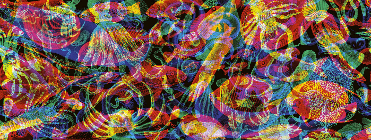 I poster RGB del duo milanese Carnovsky | Collater.al