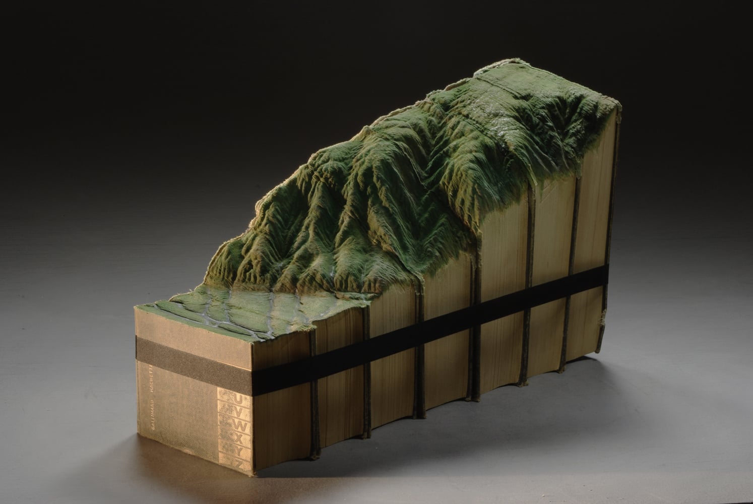 Book Sculptures, i libri trasformati in paesaggi da Guy Laramée | Collater.al