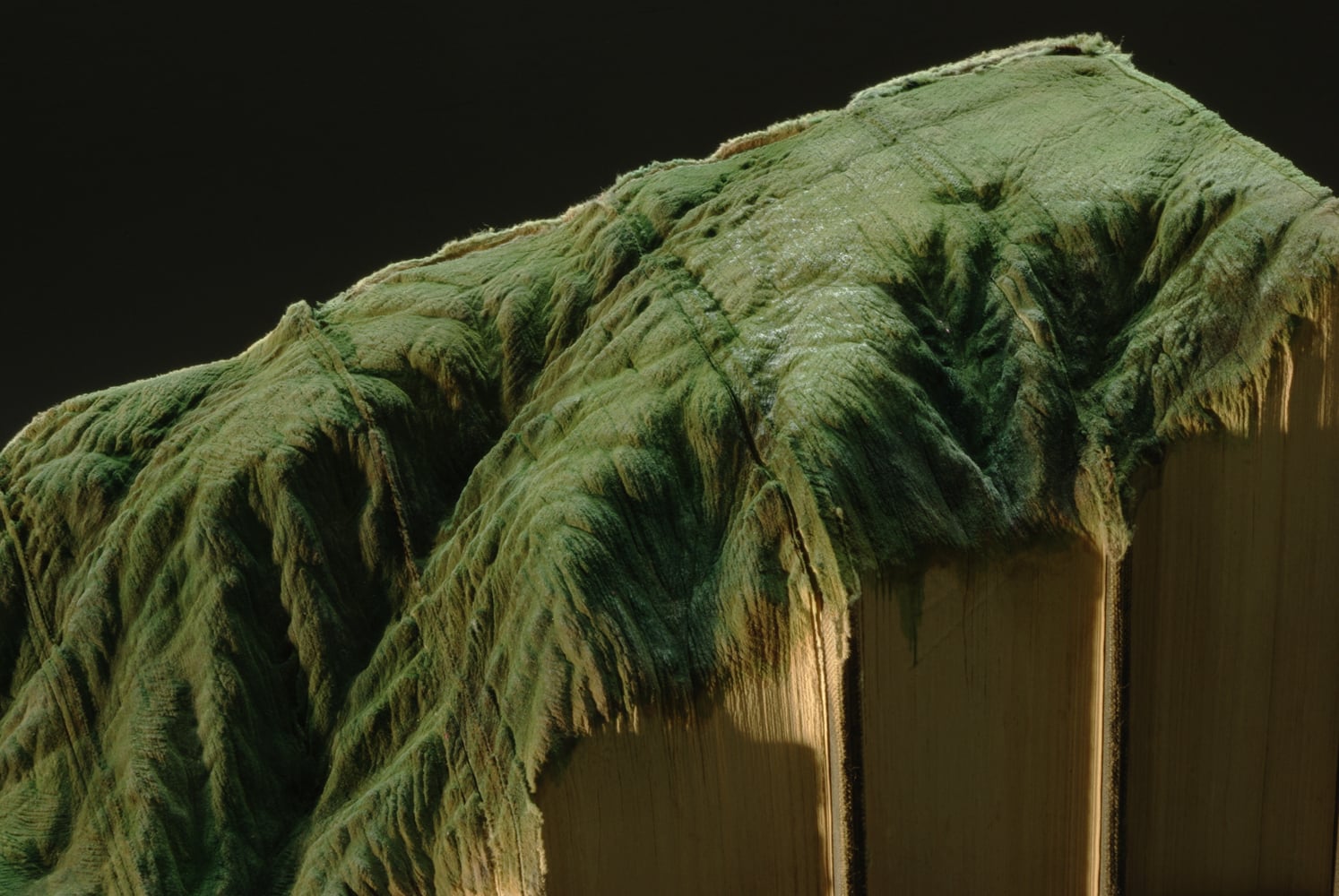 Book Sculptures, i libri trasformati in paesaggi da Guy Laramée | Collater.al