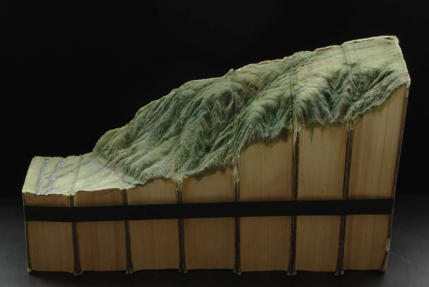 Book Sculptures, i libri trasformati in paesaggi da Guy Laramée | Collater.al