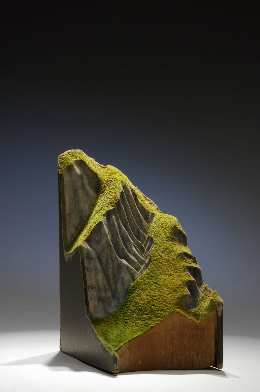 Book Sculptures, i libri trasformati in paesaggi da Guy Laramée | Collater.al