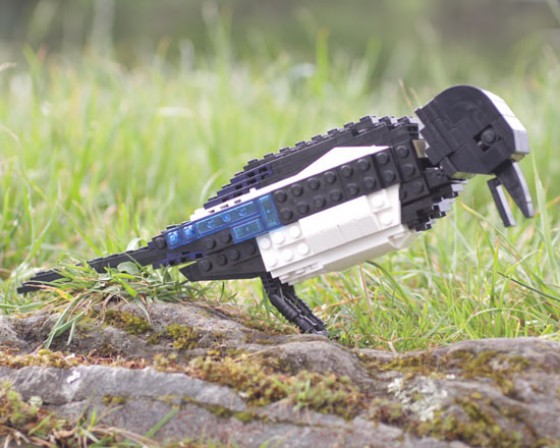 British Birds - Uccelli costruiti con i Lego