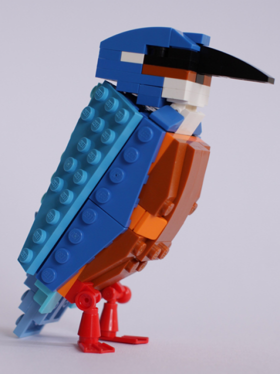 British Birds - Uccelli costruiti con i Lego