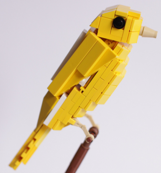 British Birds - Uccelli costruiti con i Lego