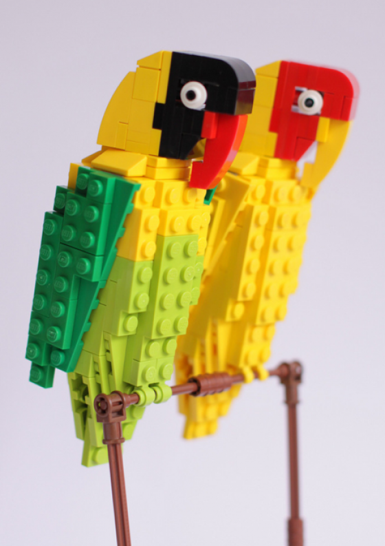 British Birds - Uccelli costruiti con i Lego