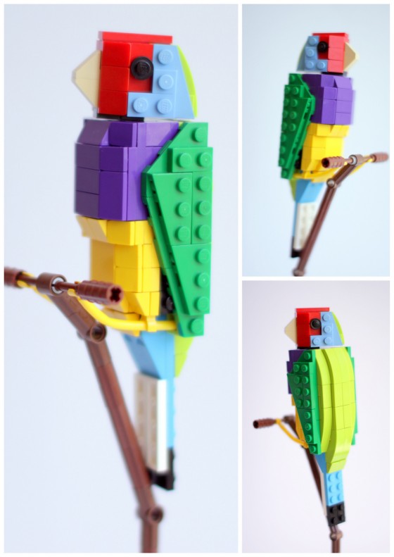British Birds - Uccelli costruiti con i Lego