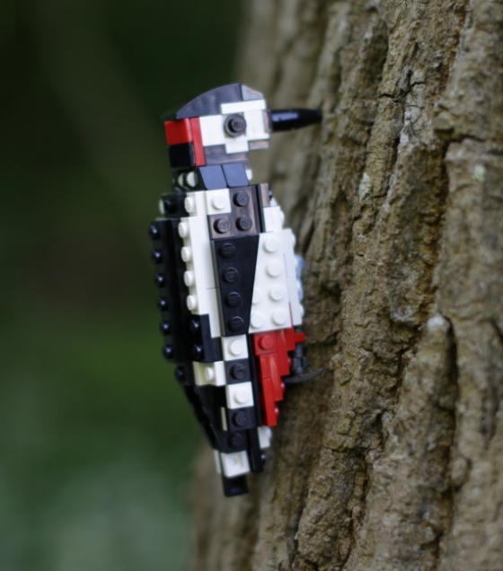 British Birds - Uccelli costruiti con i Lego