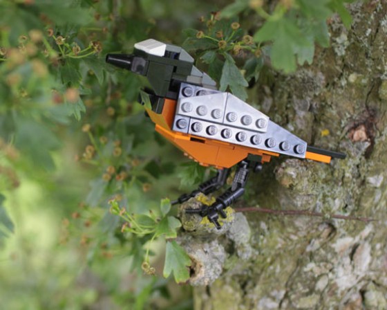 British Birds - Uccelli costruiti con i Lego